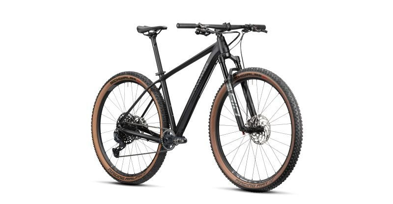 Radon Jealous AL 10.0 SL