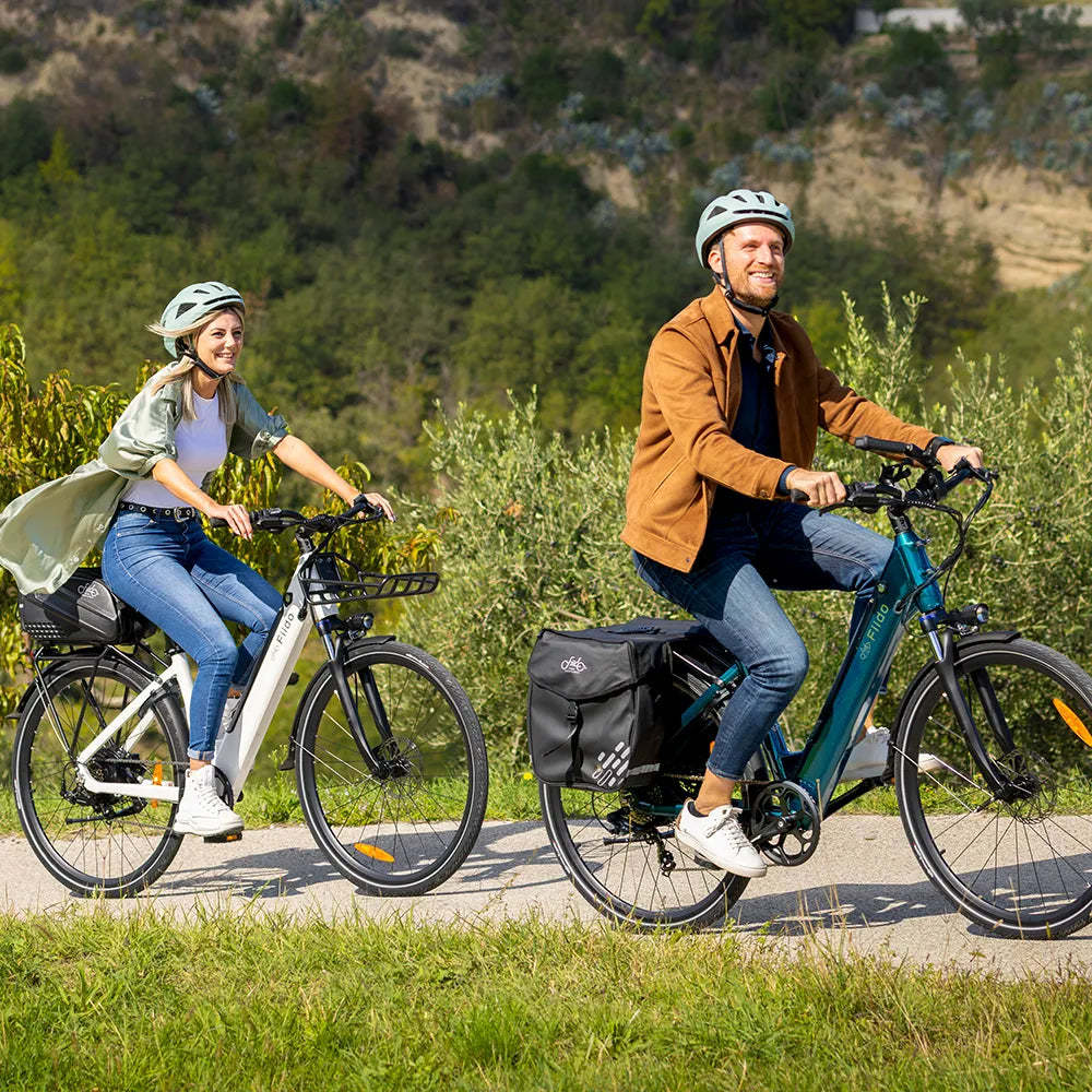 Fiido C11 Leichtes Urban E-Bike