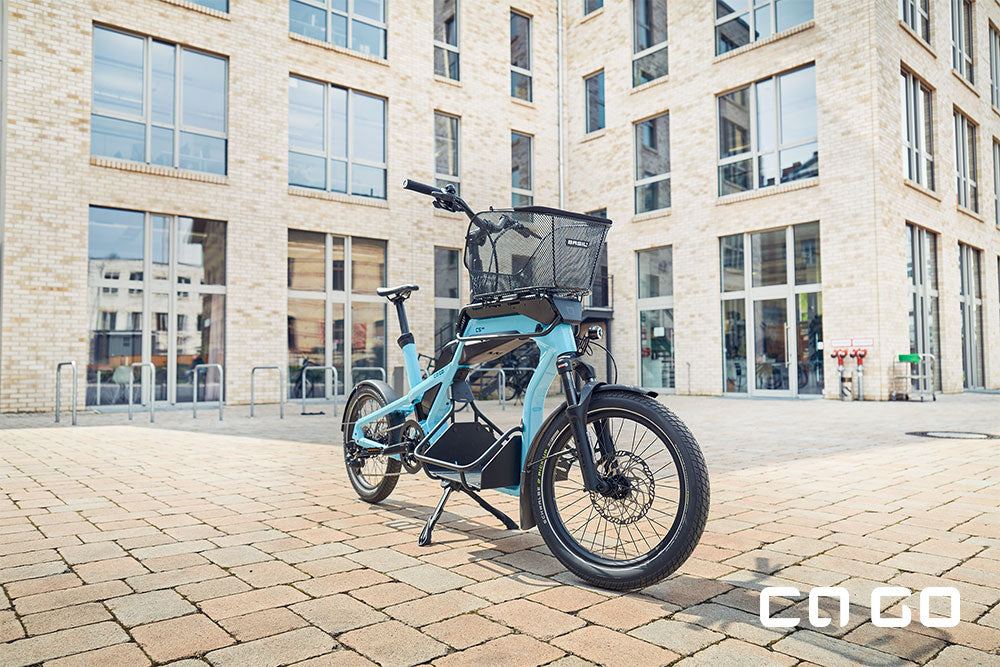 Ca Go Bike CS 100