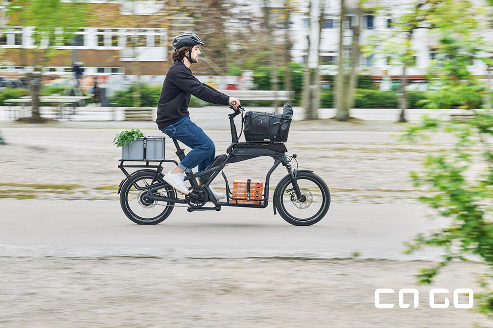Ca Go Bike CS 100