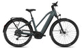 Flyer G2 Gotour 7.12 XC NL Performance Line CX 800Wh