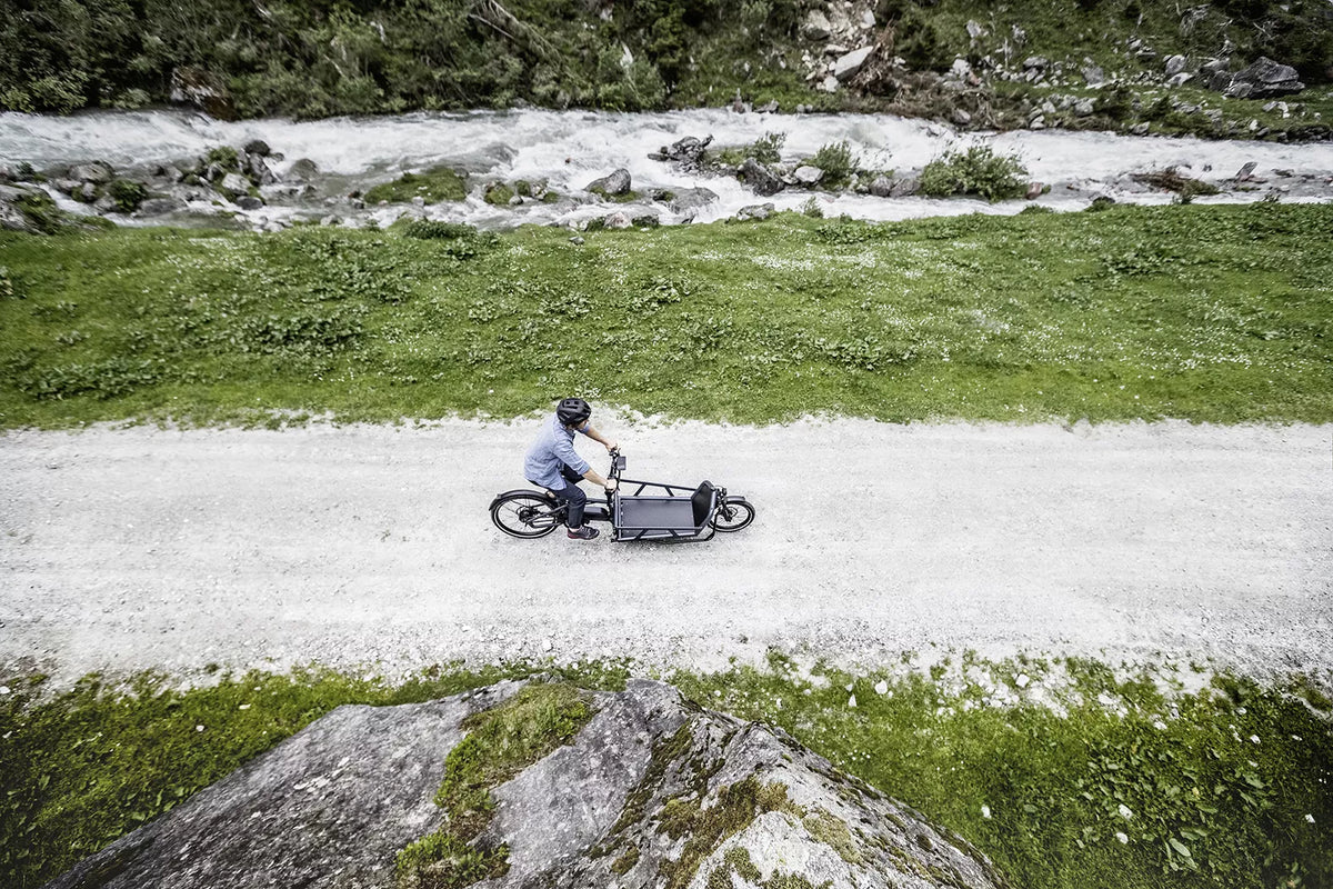 Lastenfahrrad Riese & Müller LOAD 75