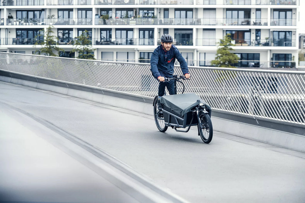 Lastenfahrrad Riese & Müller LOAD 75