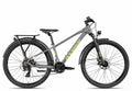 Axess Stipe 26 DX 33 cm | grey matt/yellow black