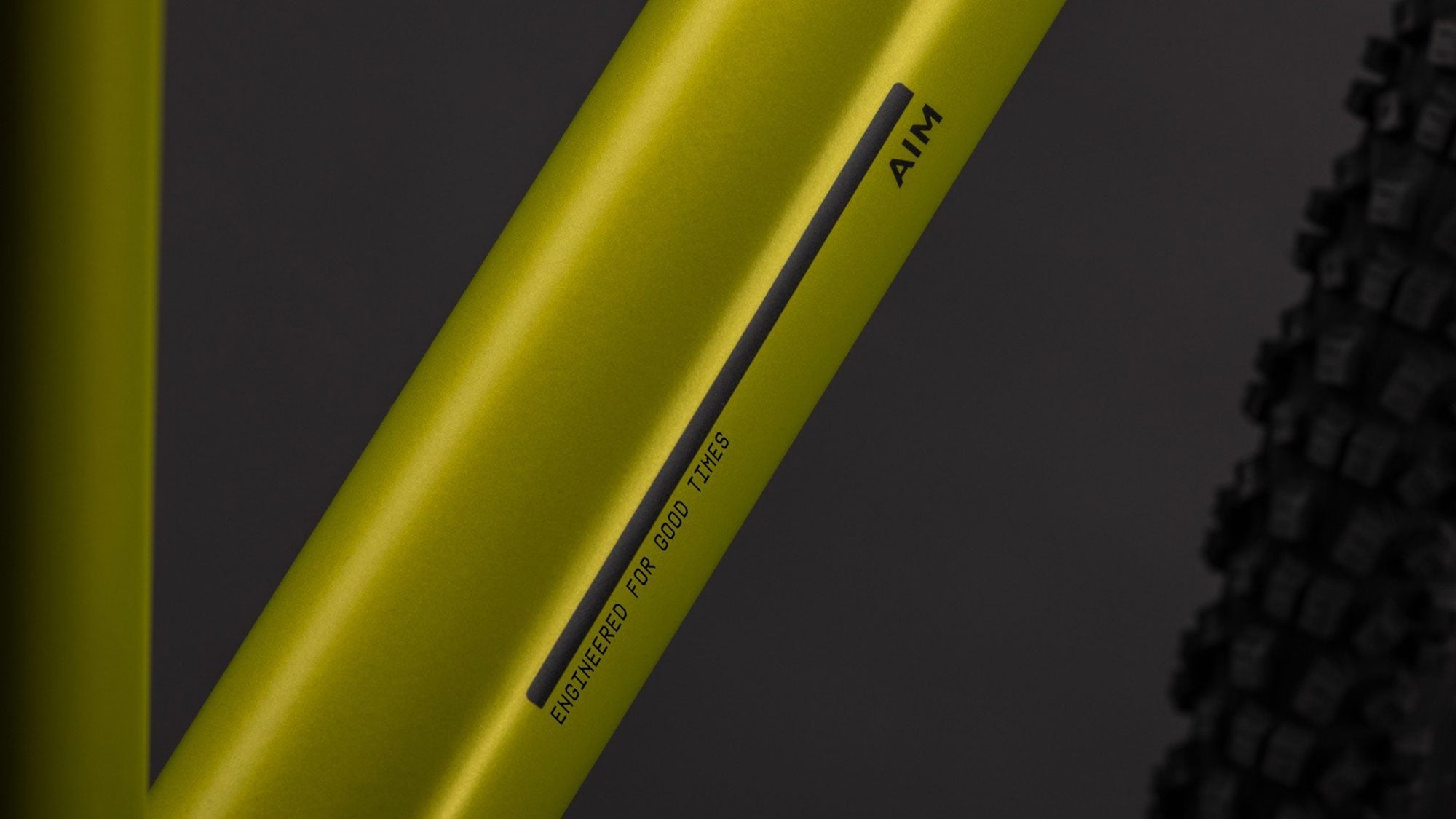 Cube Aim PRO 2026 L | lizard´n´black