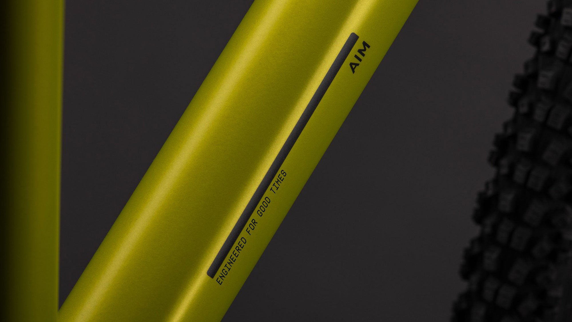 Cube Aim PRO FE 2026 L | lizard´n´black