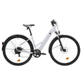 E-Bike SUV Trekkingrad 28 Zoll E-ACTV 100 LF perlgrau